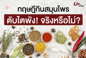 Read more about the article ทฤษฎีกินสมุนไพรแล้วตับไตพัง จริงหรือไม่? เปิดเหตุผลว่าทำไมคุณหมอถึงเตือน!