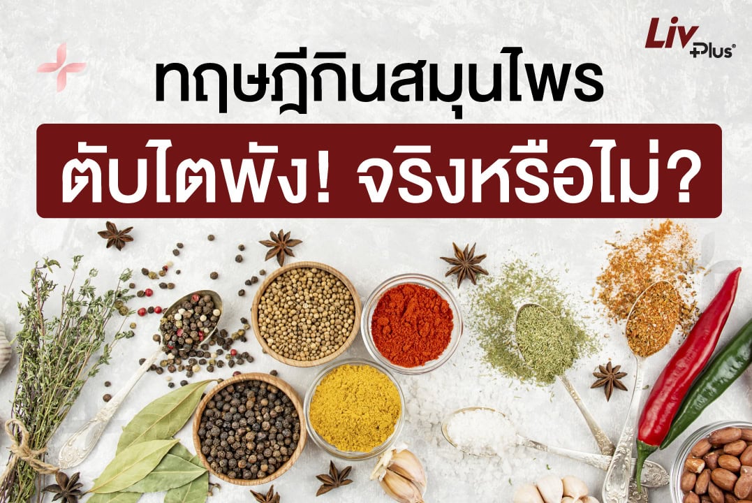 Read more about the article ทฤษฎีกินสมุนไพรแล้วตับไตพัง จริงหรือไม่? เปิดเหตุผลว่าทำไมคุณหมอถึงเตือน!