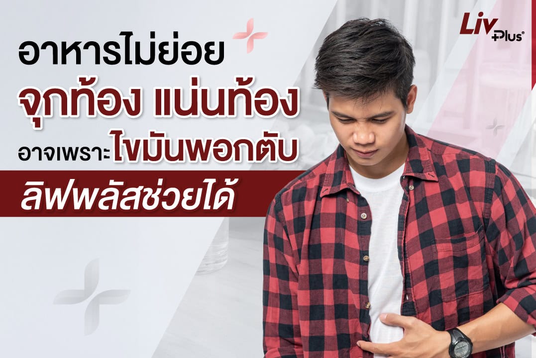 Read more about the article อาหารไม่ย่อย จุกท้อง แน่นท้อง อาจเพราะไขมันพอกตับลิฟพลัสช่วยได้