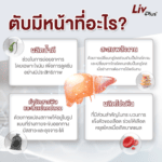 ตับมีหน้าที่อะไร ? และวิธีดูแลสุขภาพตับให้แข็งแรง